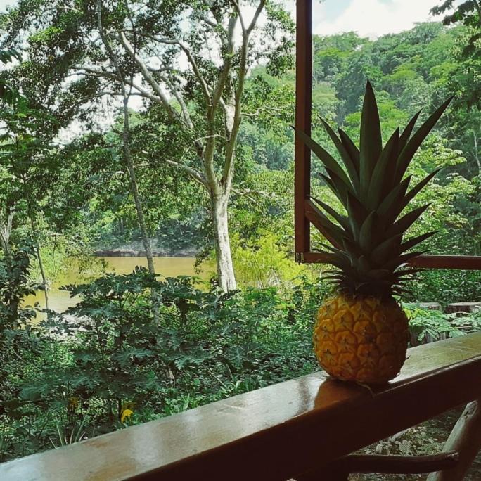 Alma Del Rio Eco-Comfort On The Water San Ignacio Esterno foto
